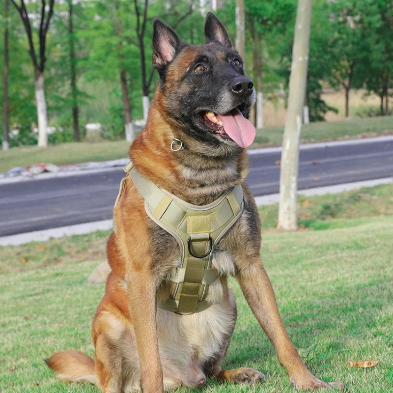 Escape-Proof Reflective Tactical Dog Harness for Medium to Large Breeds, Night Safety Design with Adjustable Features dog leash